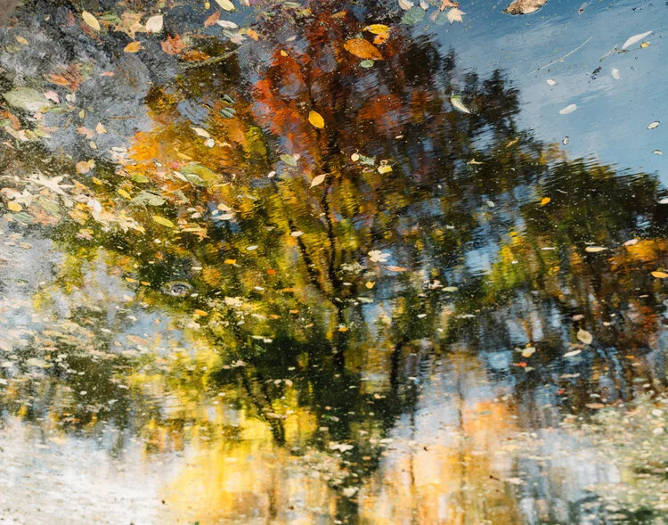20141102_ProspectPark_034.jpg