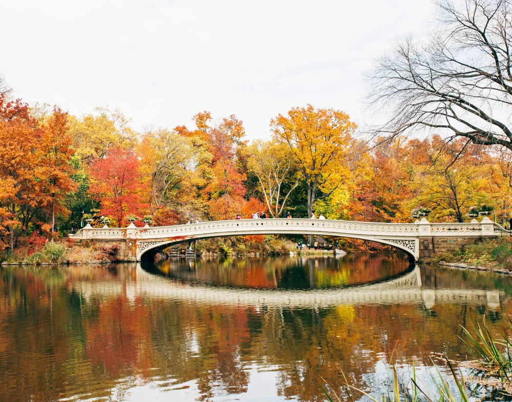 20141113_CentralPark_076.jpg