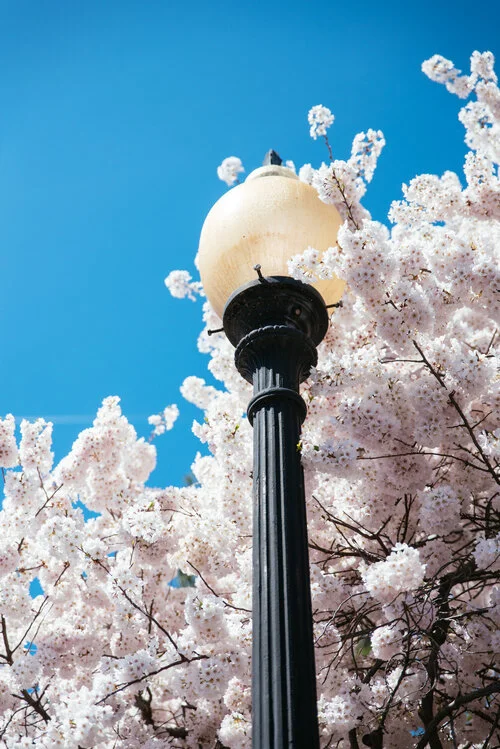 20150412_WashingtonDC_142.jpg