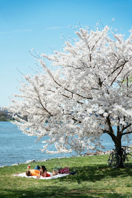 20150412_WashingtonDC_150.jpg