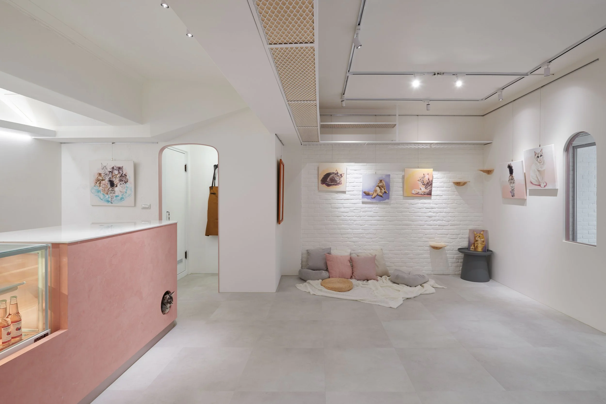 DueiShihDesign_RedMoonMainecoonGallery_05.jpg