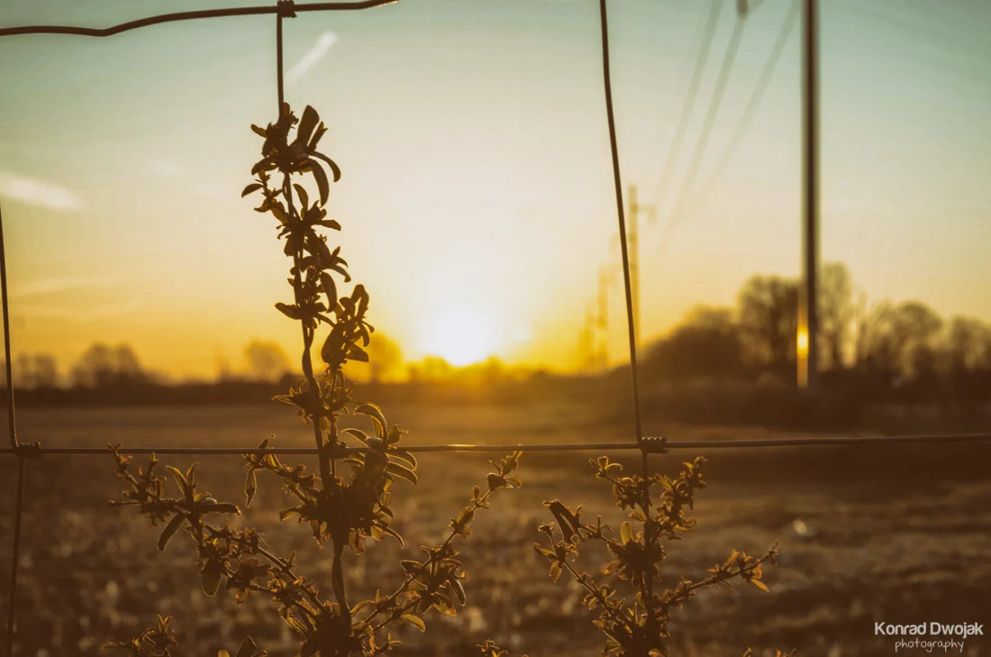 Sunrise-1.jpg