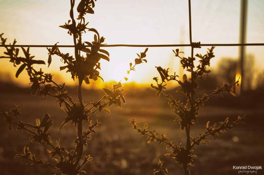 Sunrise-2.jpg