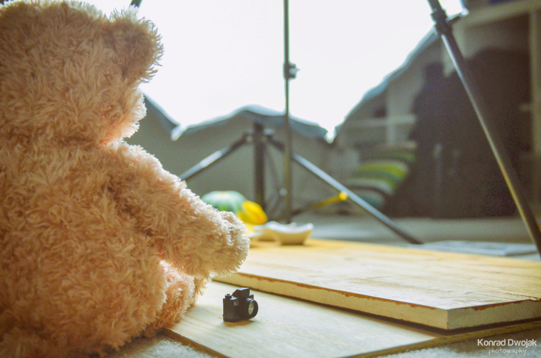 Thabo (a teddy bear) with his new mini camera assisting during a food photo shoot