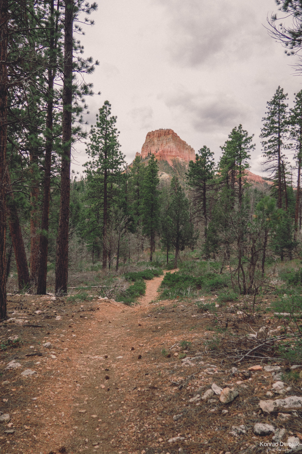 Sheep Creek - Swamp Canyon Loop in Bryce Canyon National Park