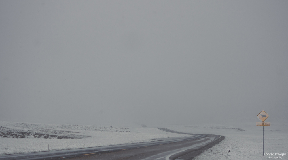 Snowy Road to the Grand Canyon National Park