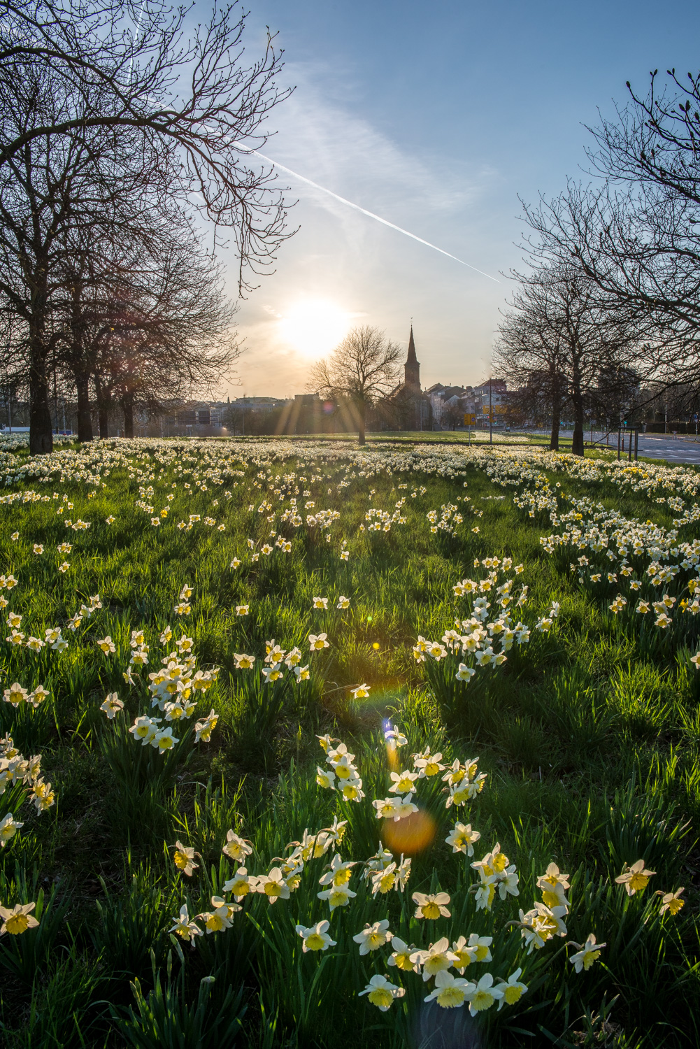 Spring comes to Luxembourg