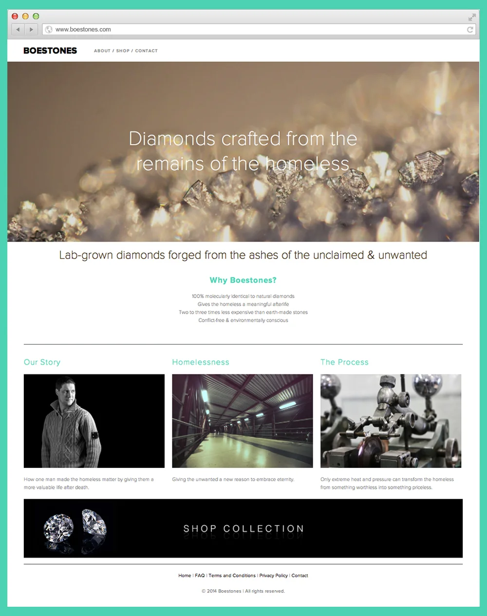 Homepage w border.jpg