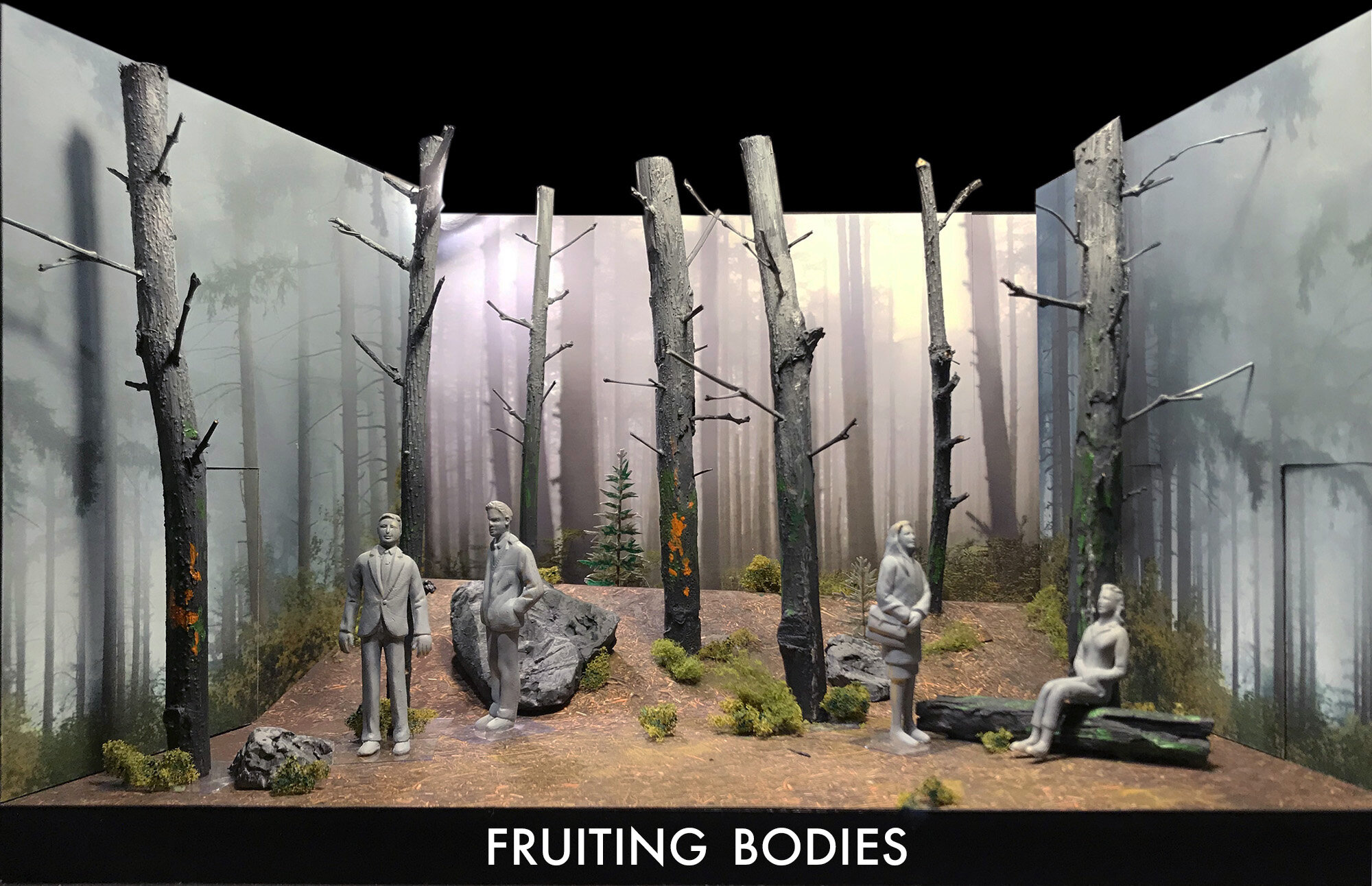 FRUITING BODIES.jpg