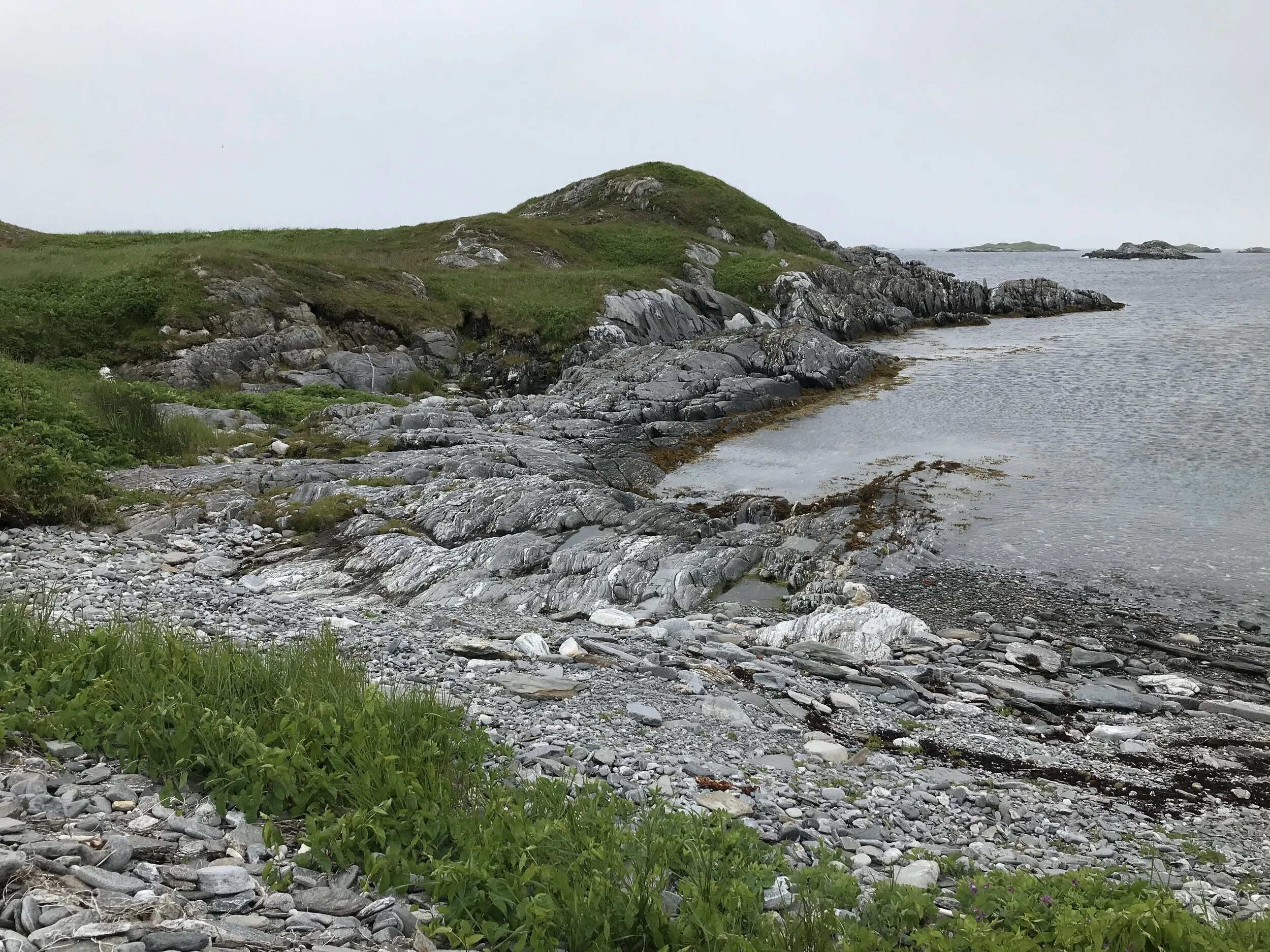 Newfoundland landscape