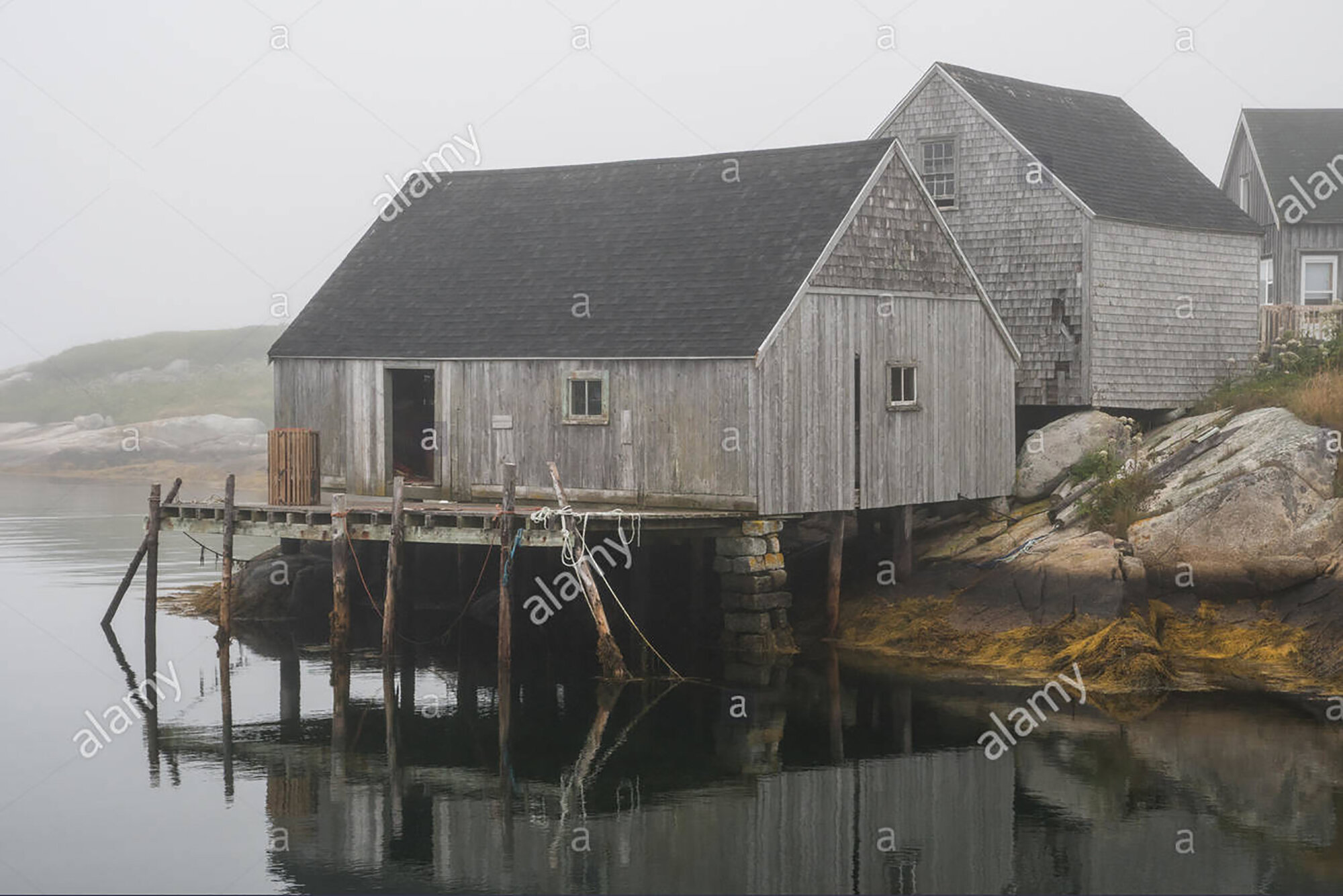 Newfoundland docks
