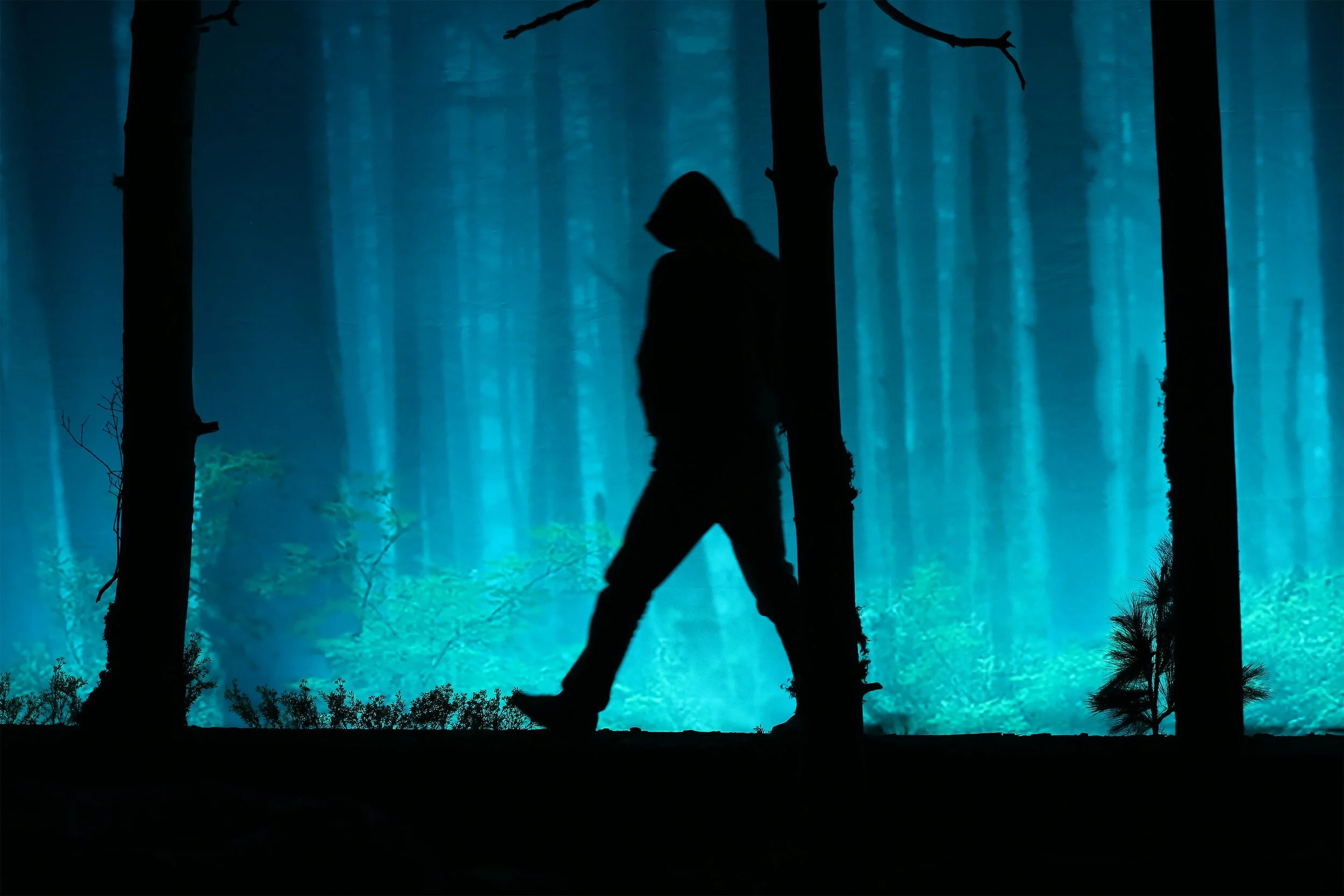 Boy appears in a mysterious moment