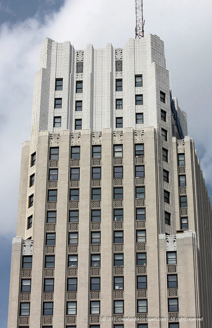 Detail view of crown, April 2011