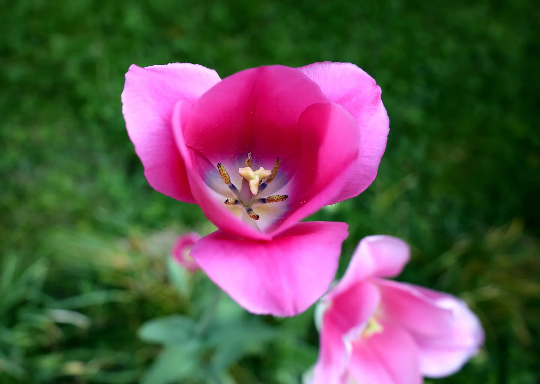 IMG_8955.jpg