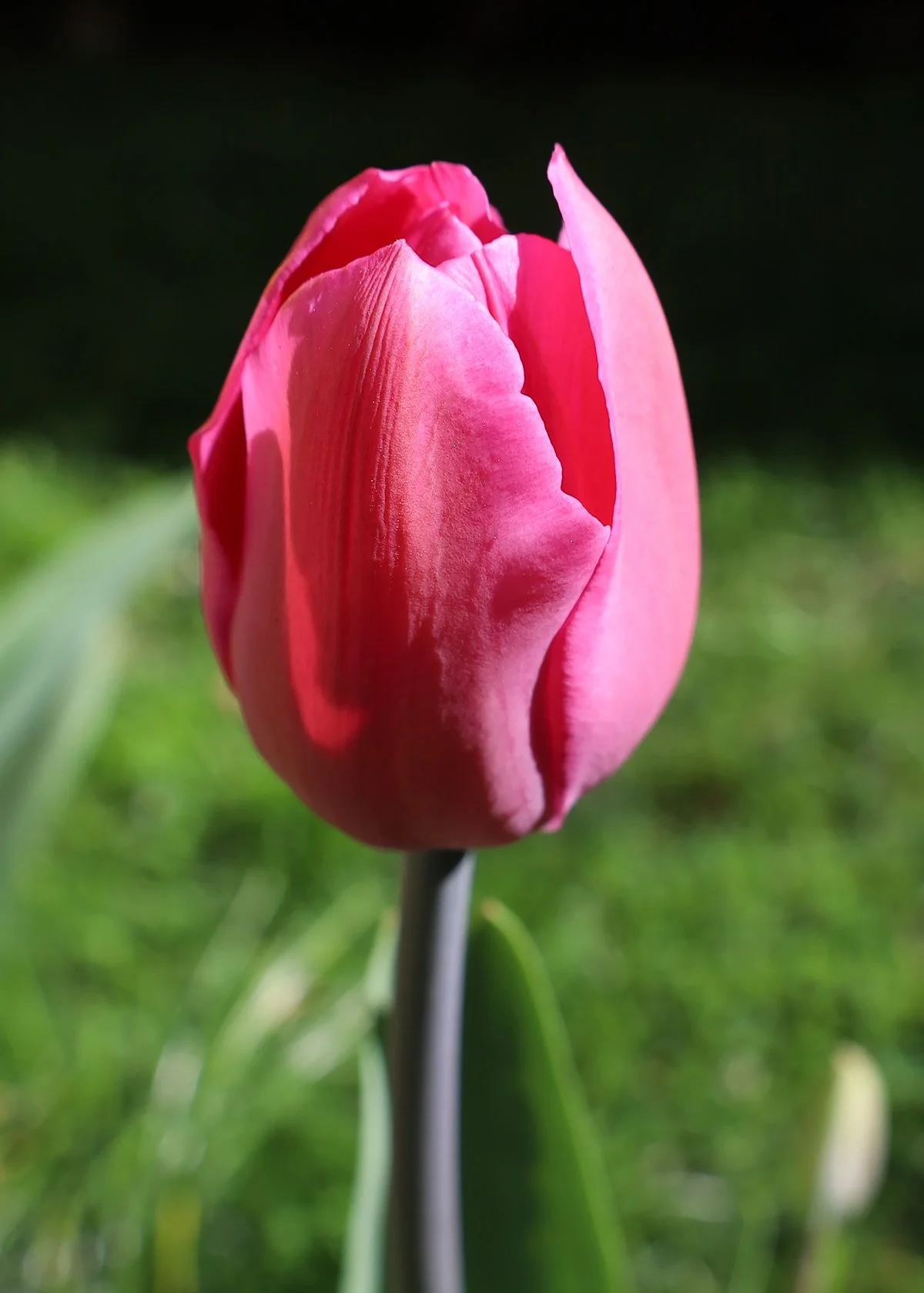 IMG_8625.jpg