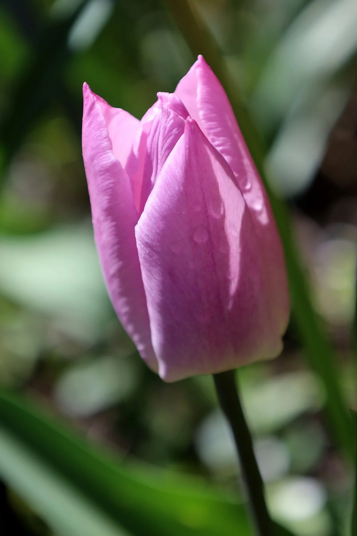 IMG_8342.jpg