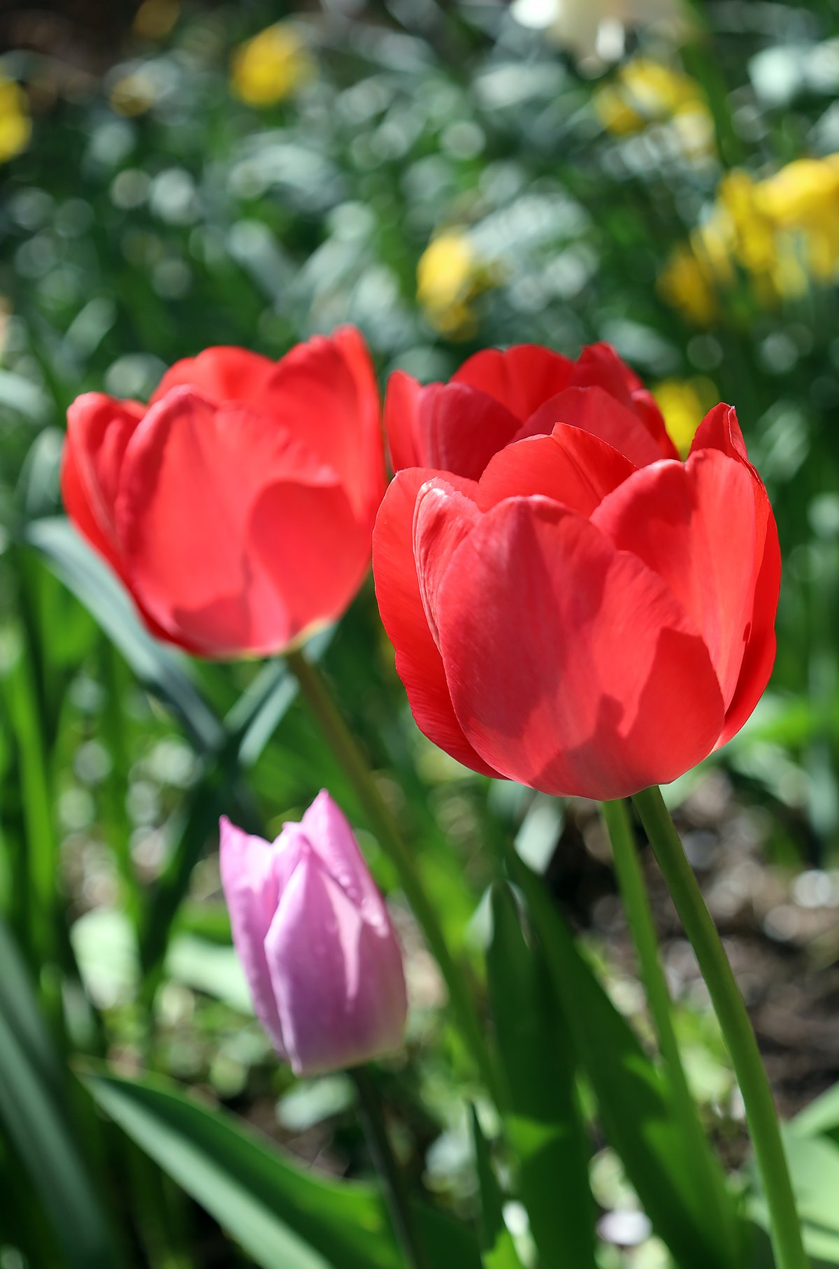IMG_8339.jpg