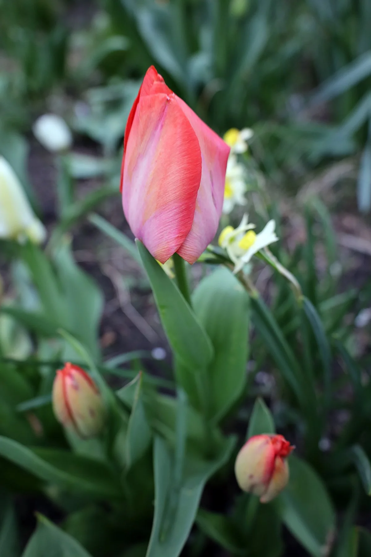 IMG_8305.jpg