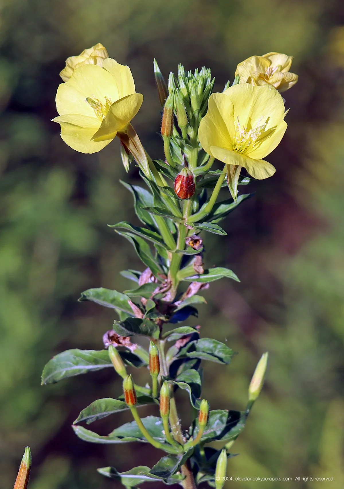 ssp09022024_9.jpg