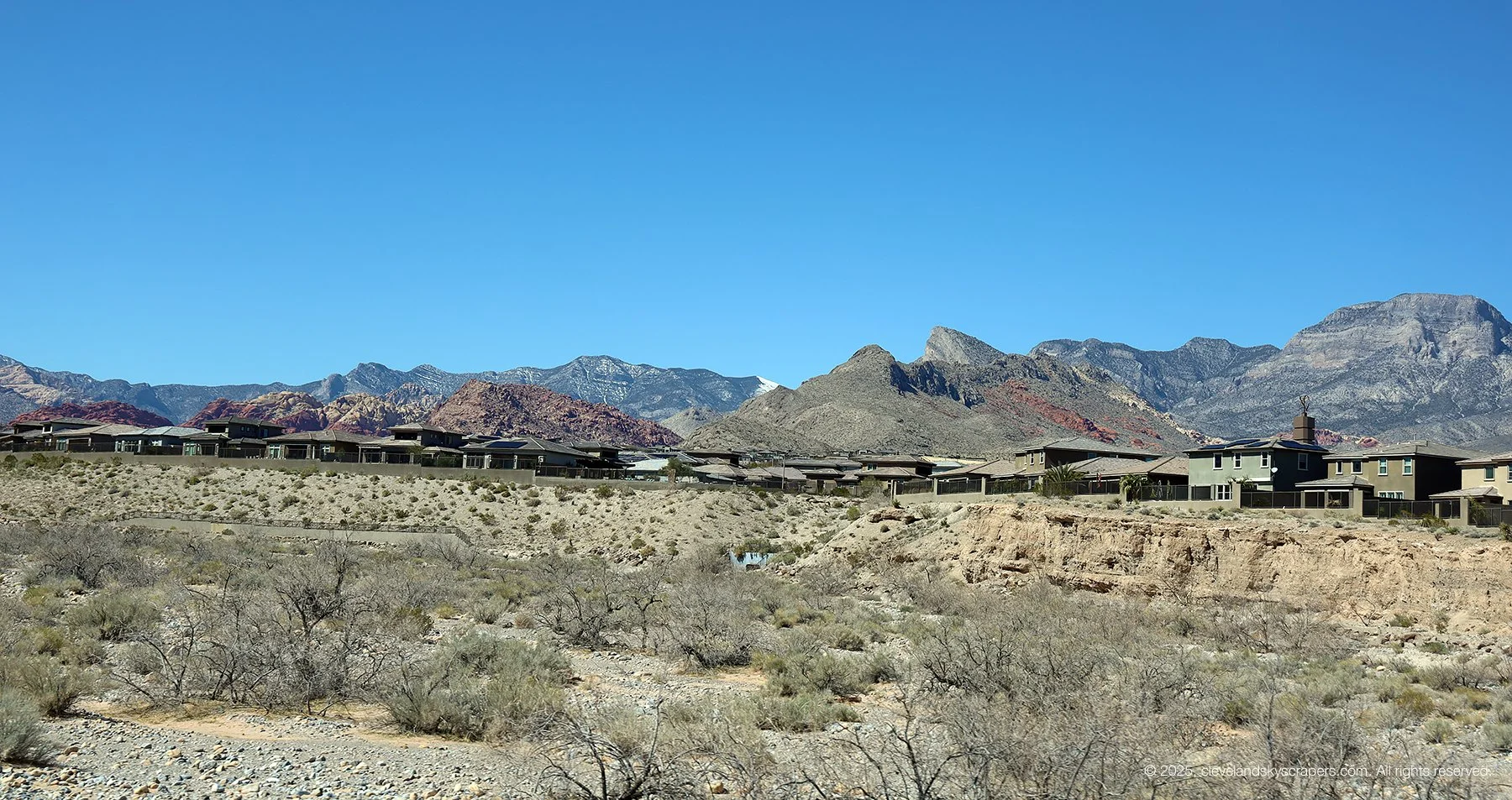 IMG_1441.jpg
