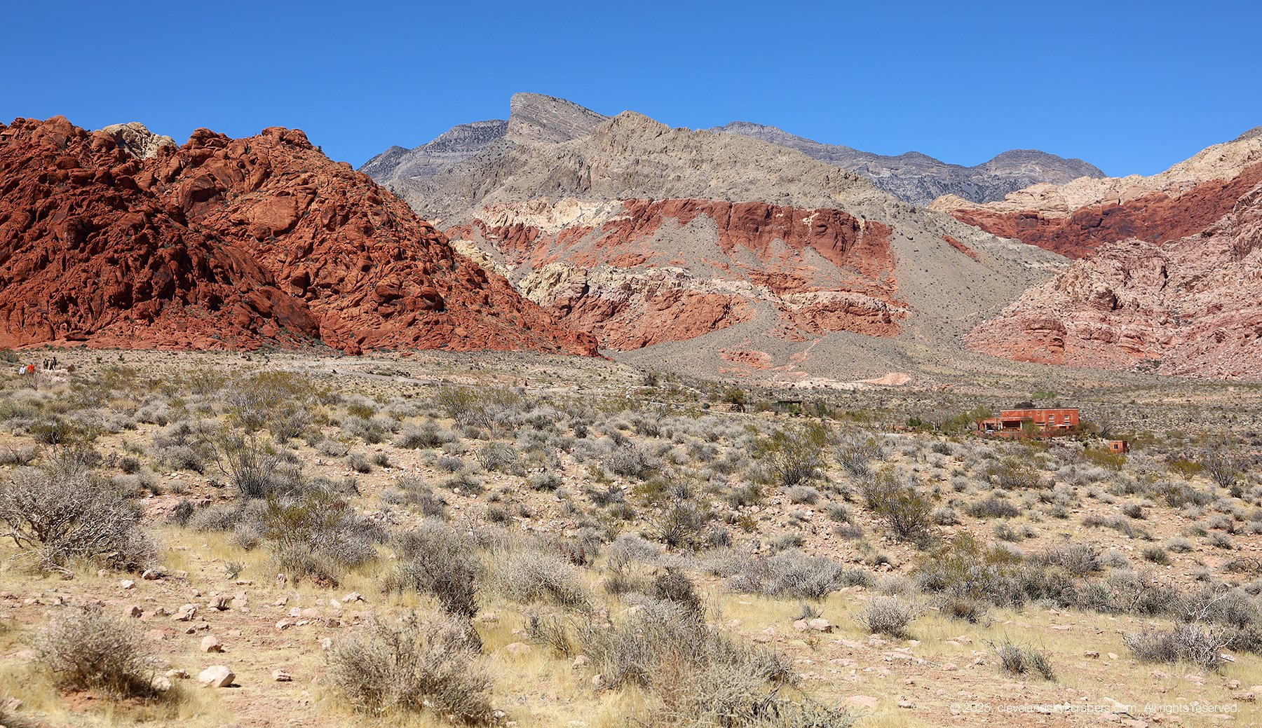 IMG_1456.jpg