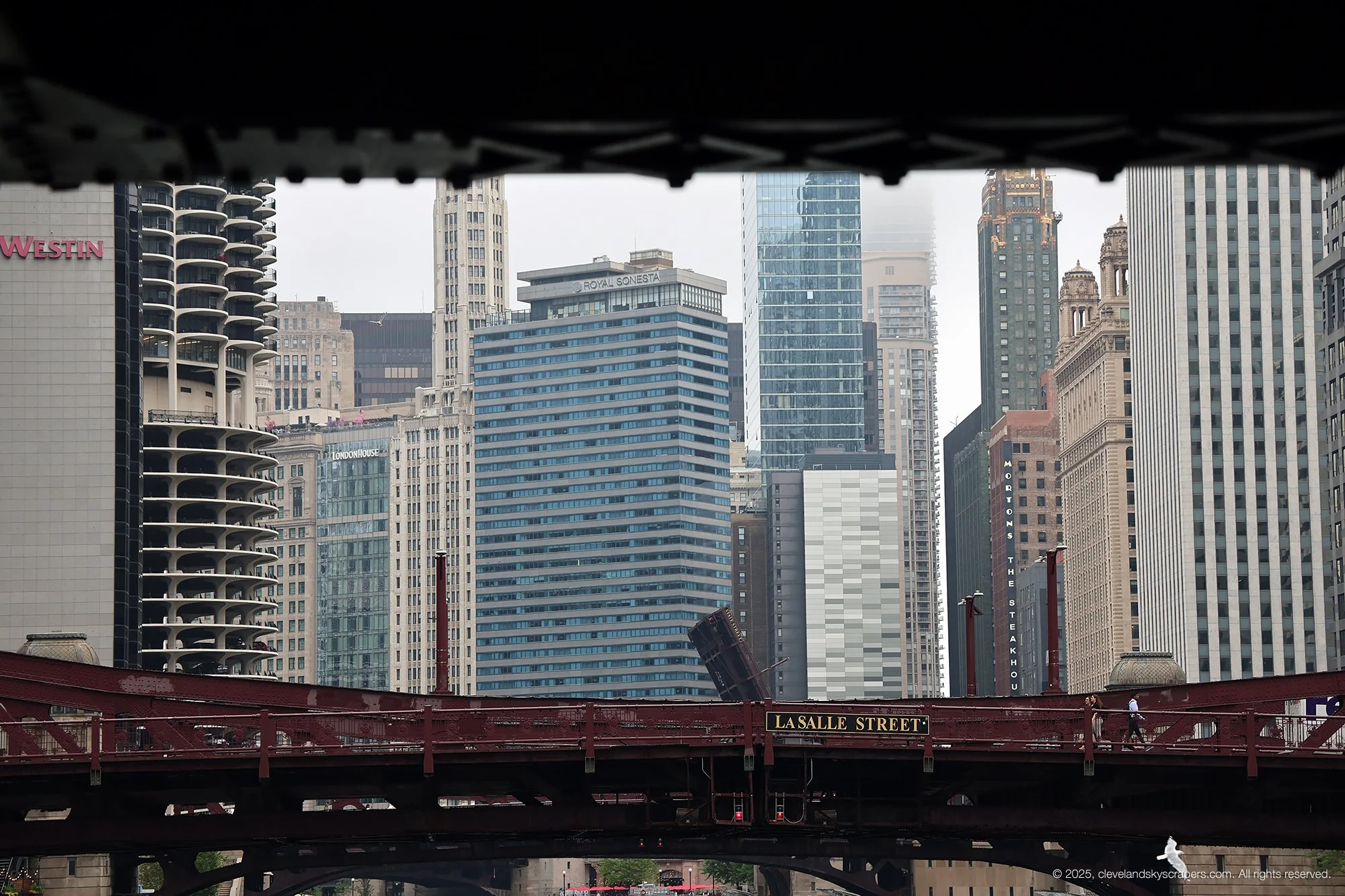 Chicago2025_68.jpg