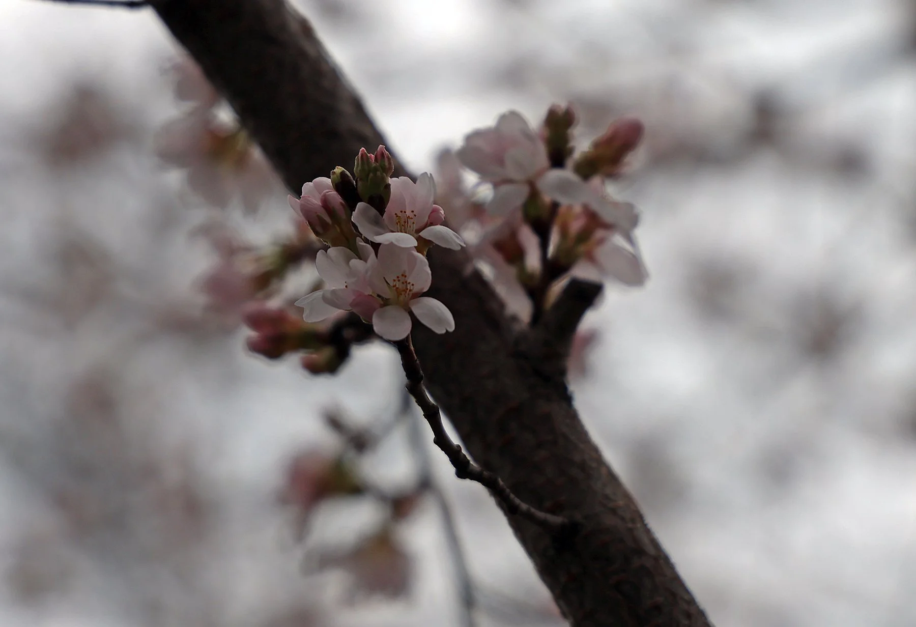 IMG_7706.jpg