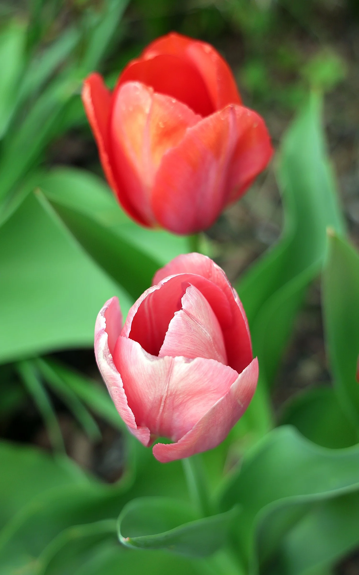 IMG_8032.jpg