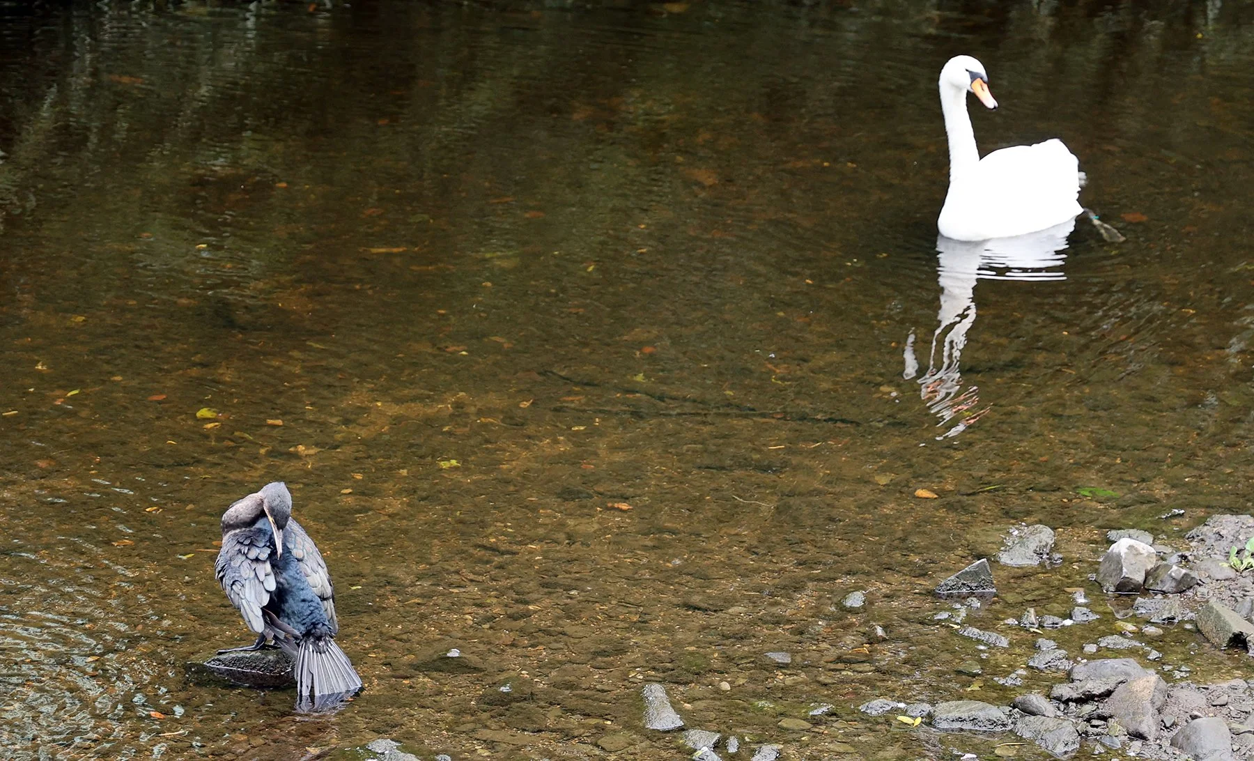 IMG_1841.jpg