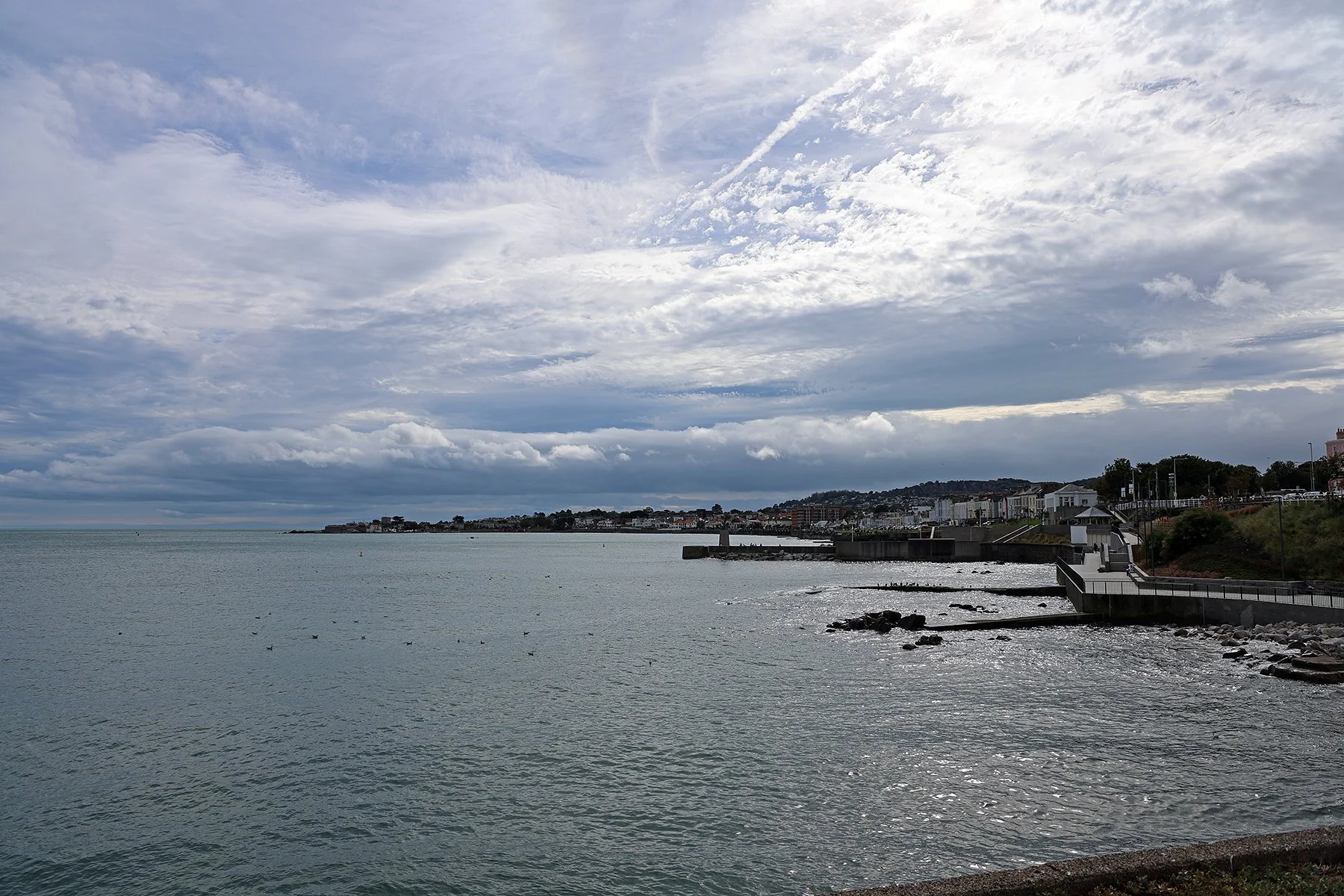 IMG_1864.jpg