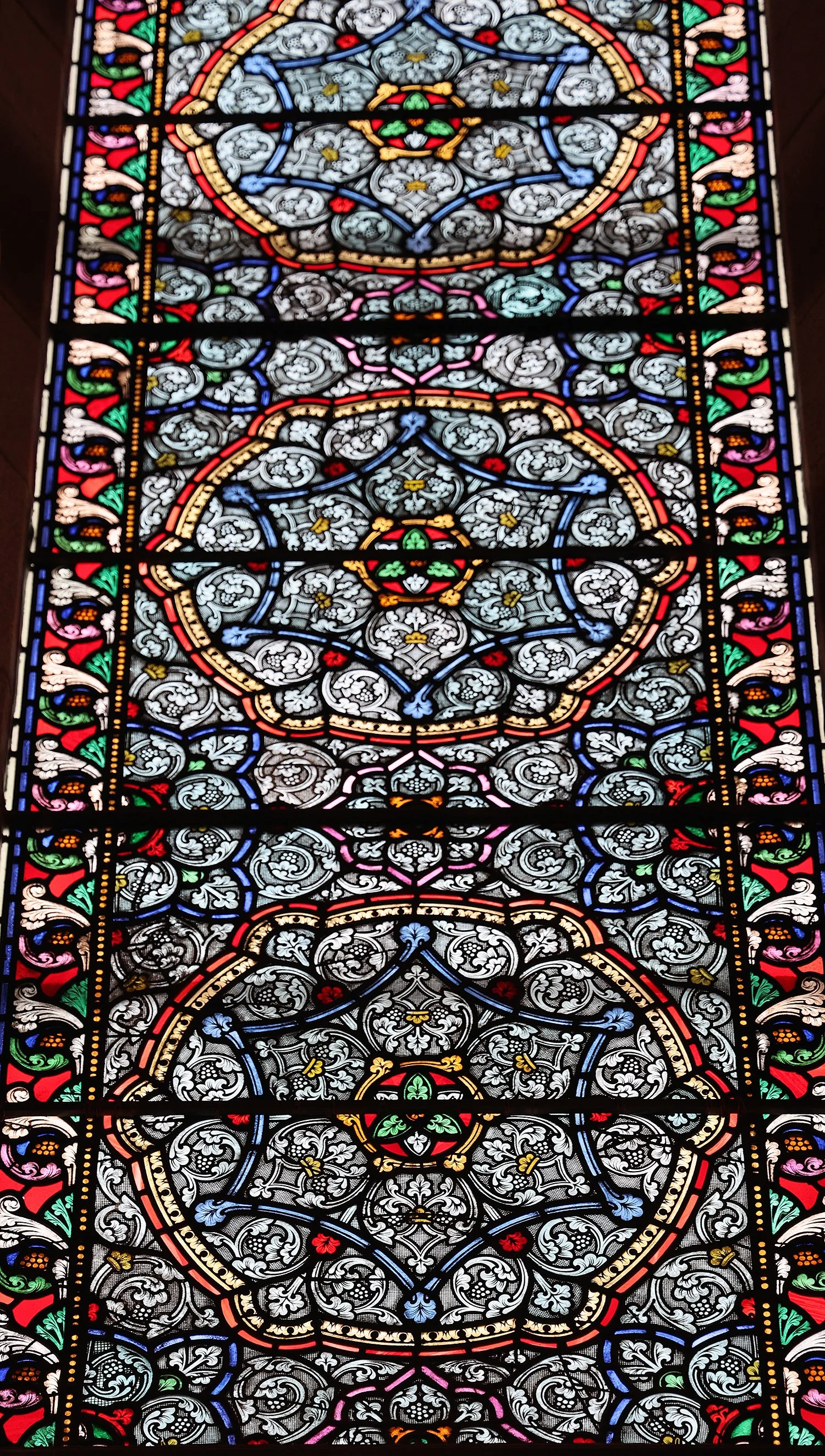 IMG_2044.jpg