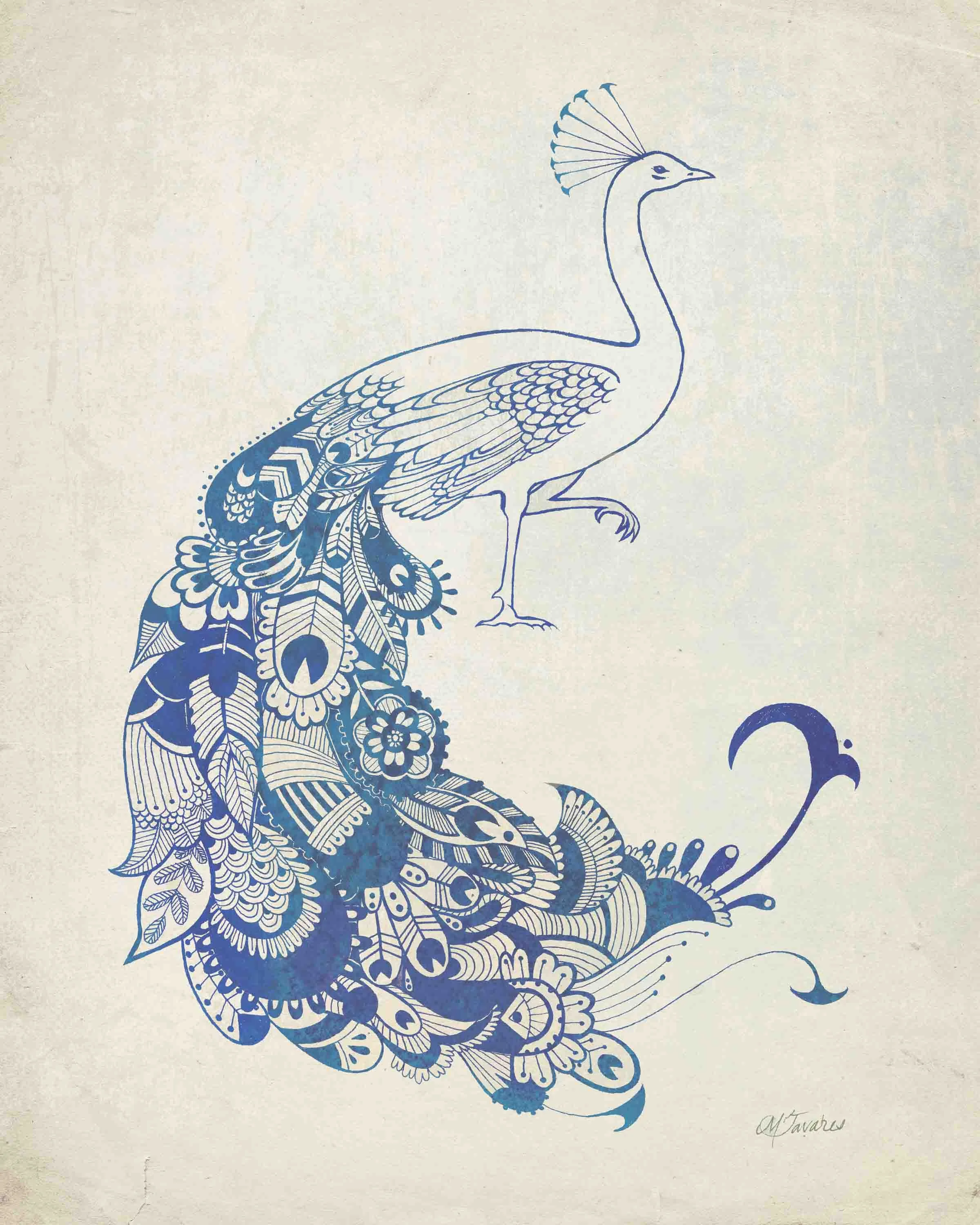 peacock list.jpg