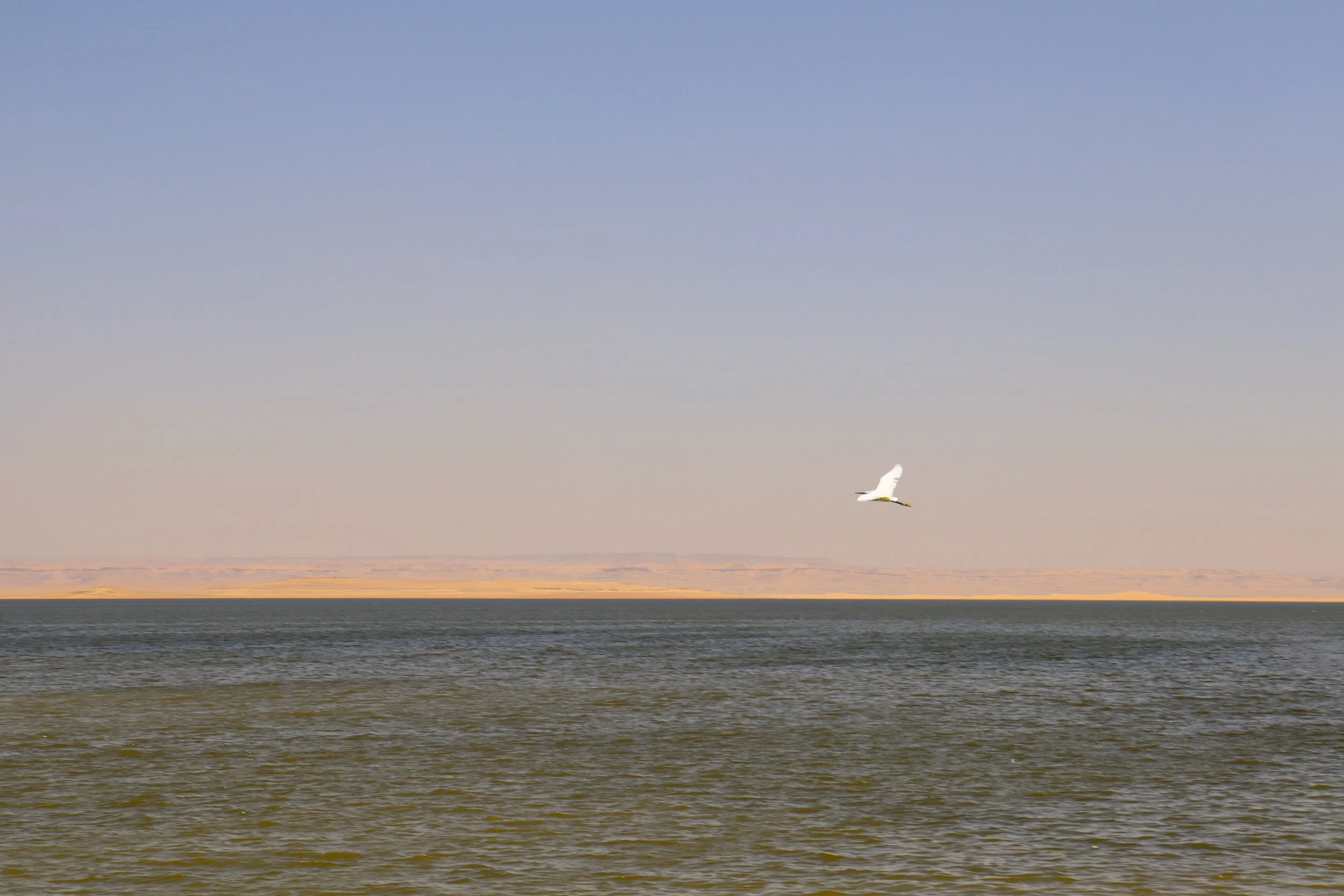 Giza Systems Education Foundation: Nourishing a Community