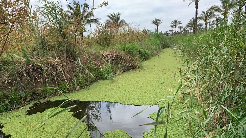 Solutions Mapping in Egypt: What Is It and Why Do We Need It?