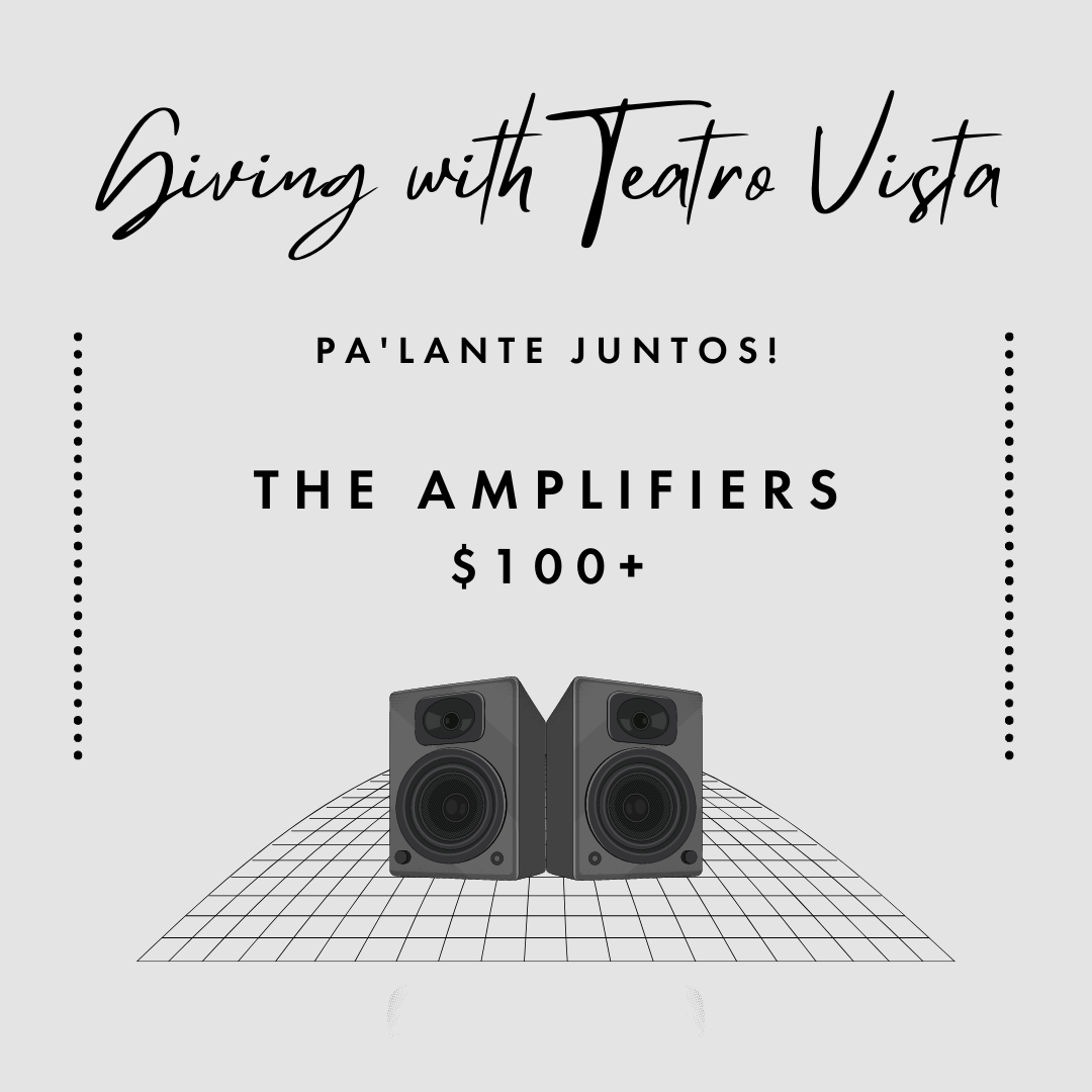 Individual Giving (Copy) — TEATRO VISTA Theater With a View