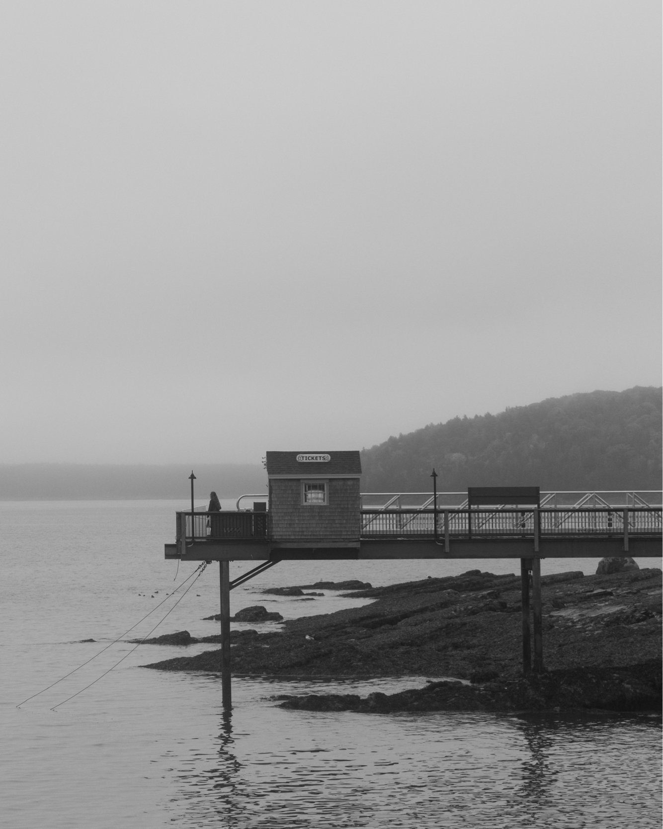 Perspectives on a dock in #BarHabor #Maine

Camera: #SonyA7RV
Lens: Sony 20-70 F4 G
Filter: #PolarPro

#ocean #lobsterboats #fishingboats