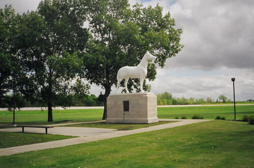 The legendary White Horse at St. Francis Xavier, Manitoba