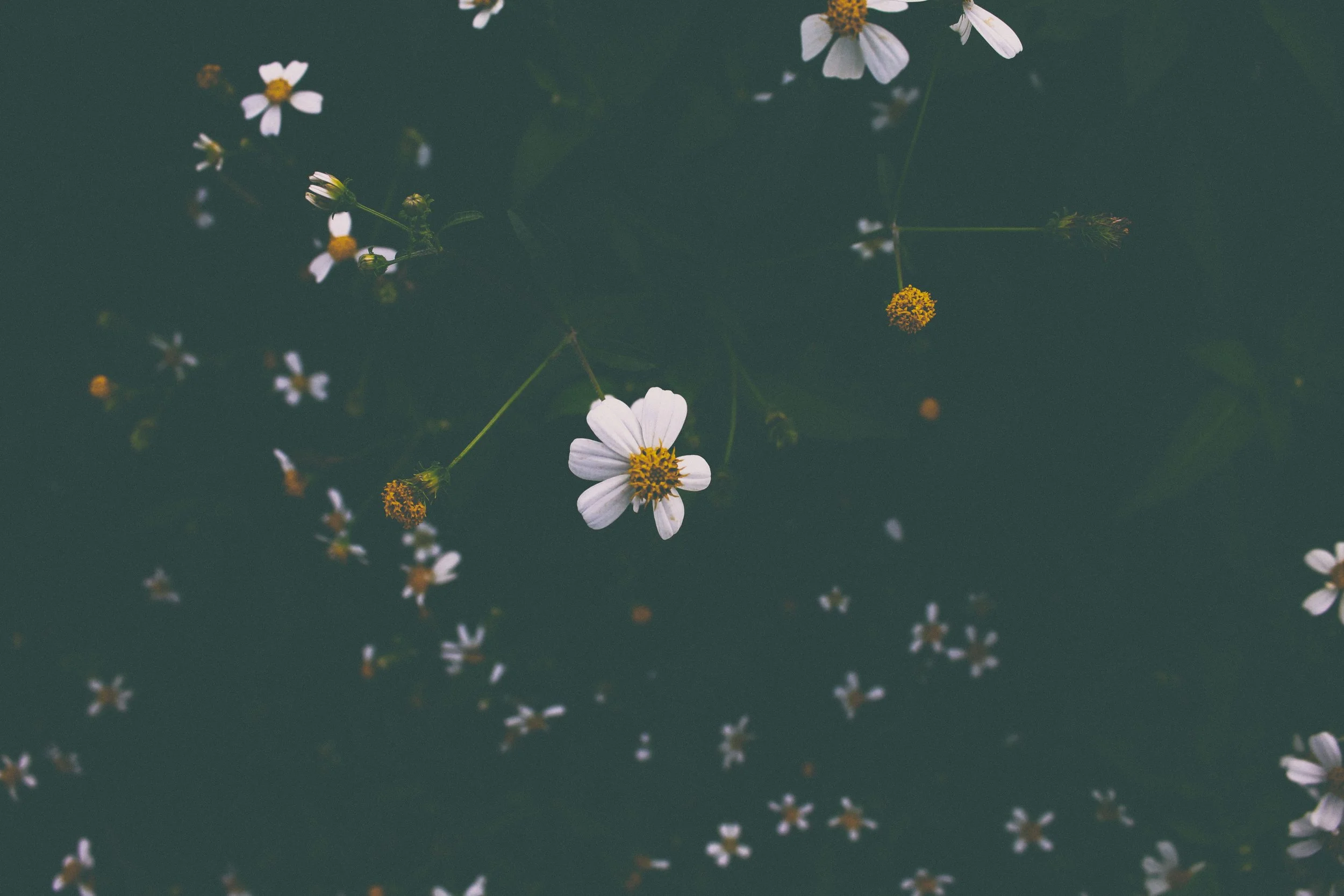 Photo by Larm Rmah on Unsplash.jpg
