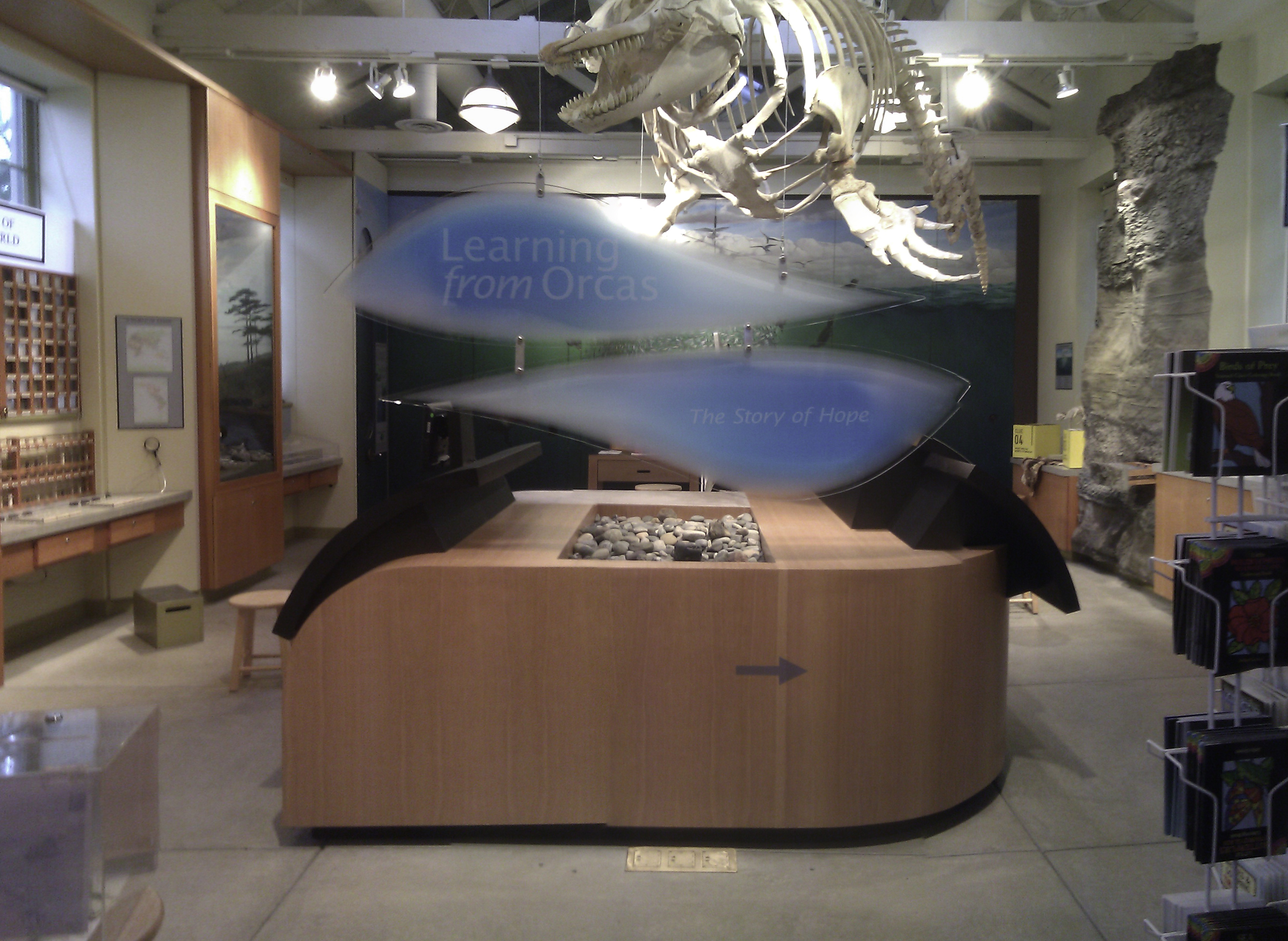  More photos are coming, but in the meantime, check out the Port Townsend Marine Science Center's&nbsp; site about the exhibit.   Client: Port Townsend Marine Science Center  3D Design: Brock Walker, Abbie Greene  Graphic Design: Brock Walker, Katie 
