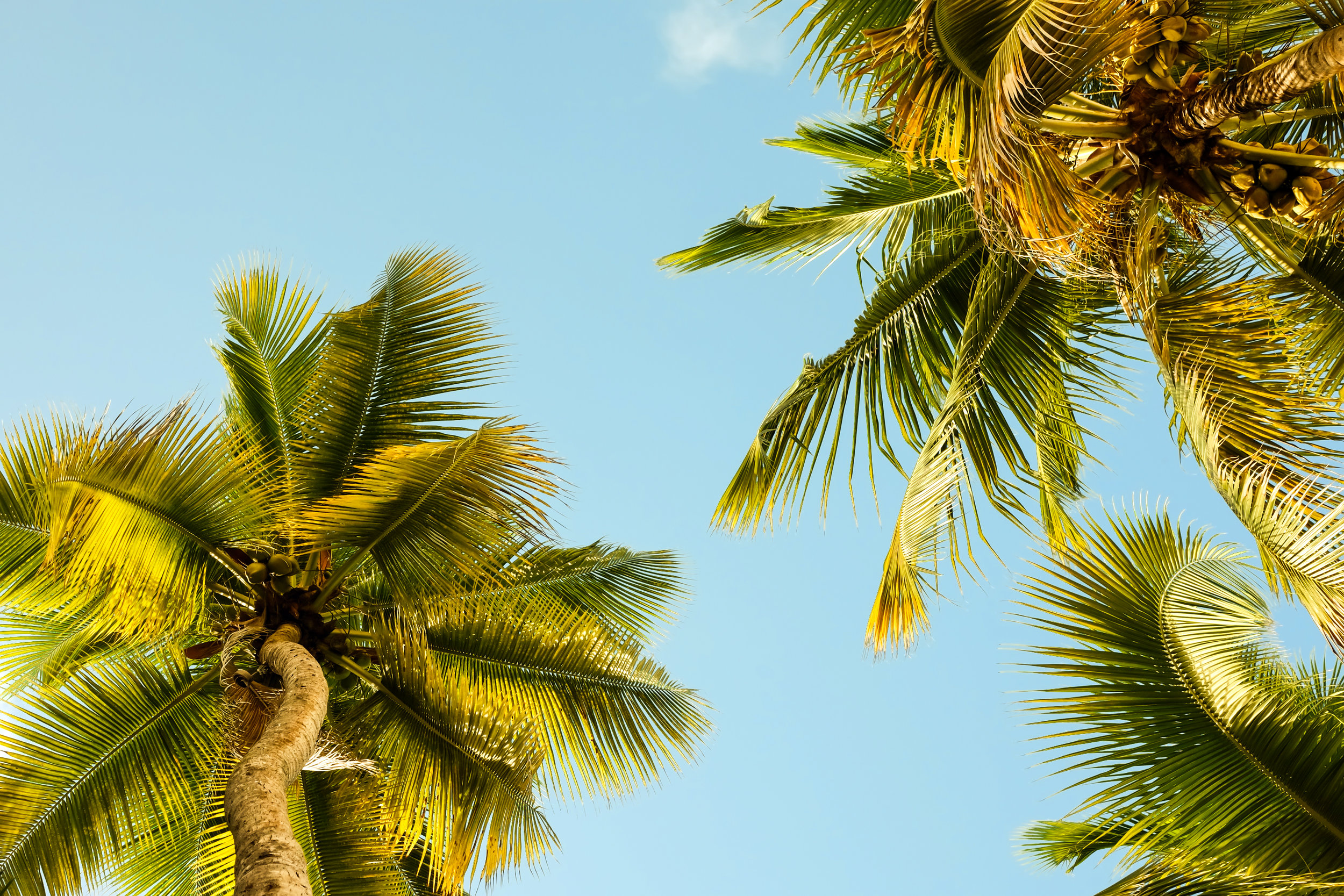 Puerto Rico