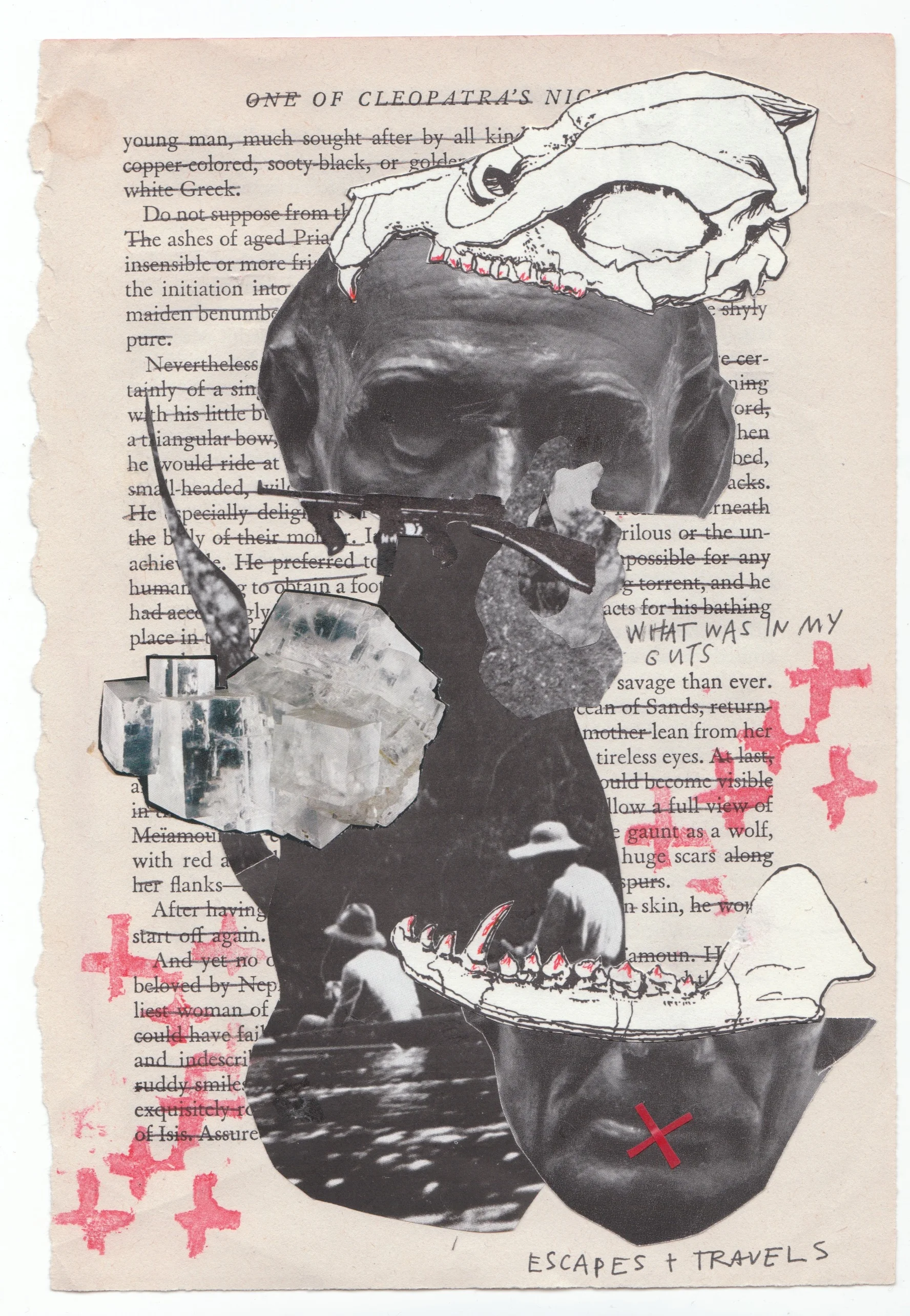 collage 21.jpeg