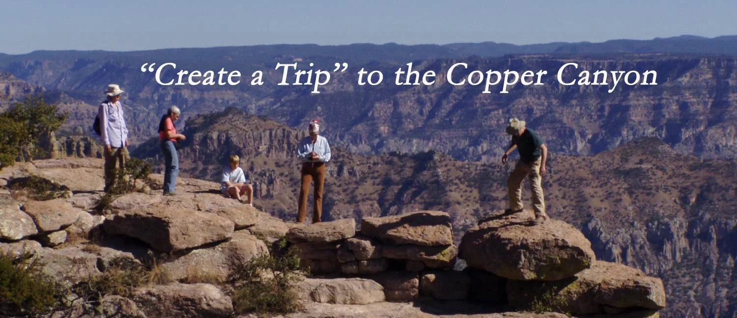 Our exclusive "Create a Trip" — The best travel experience in the