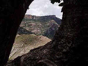 View of canyon rim from canyon bottom
