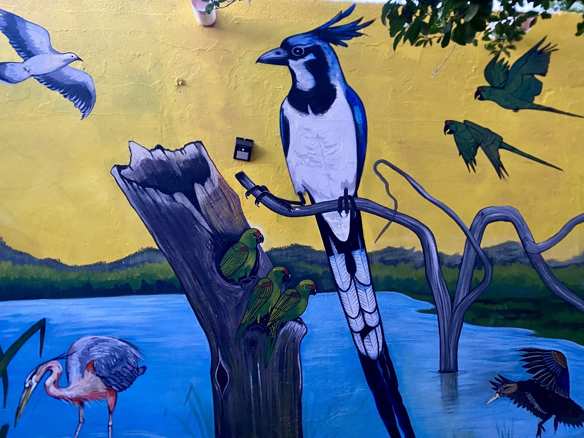 Lots of great mural art in El Fuerte of local fauna species
