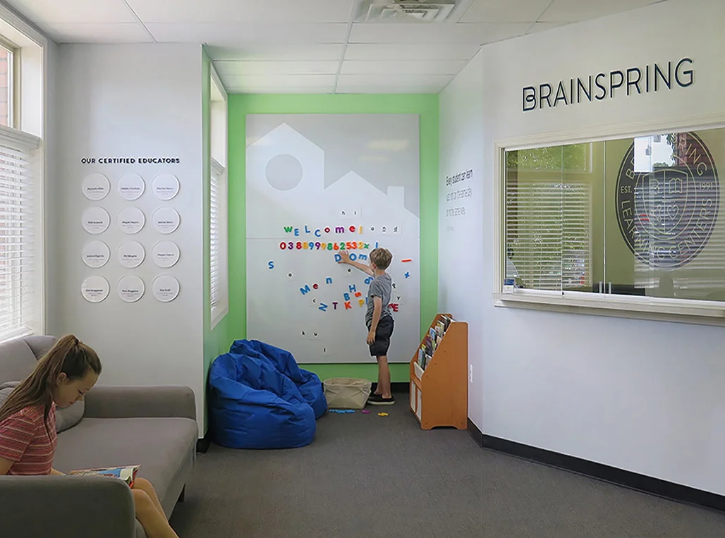 brainspring-2017-03_v2.jpg