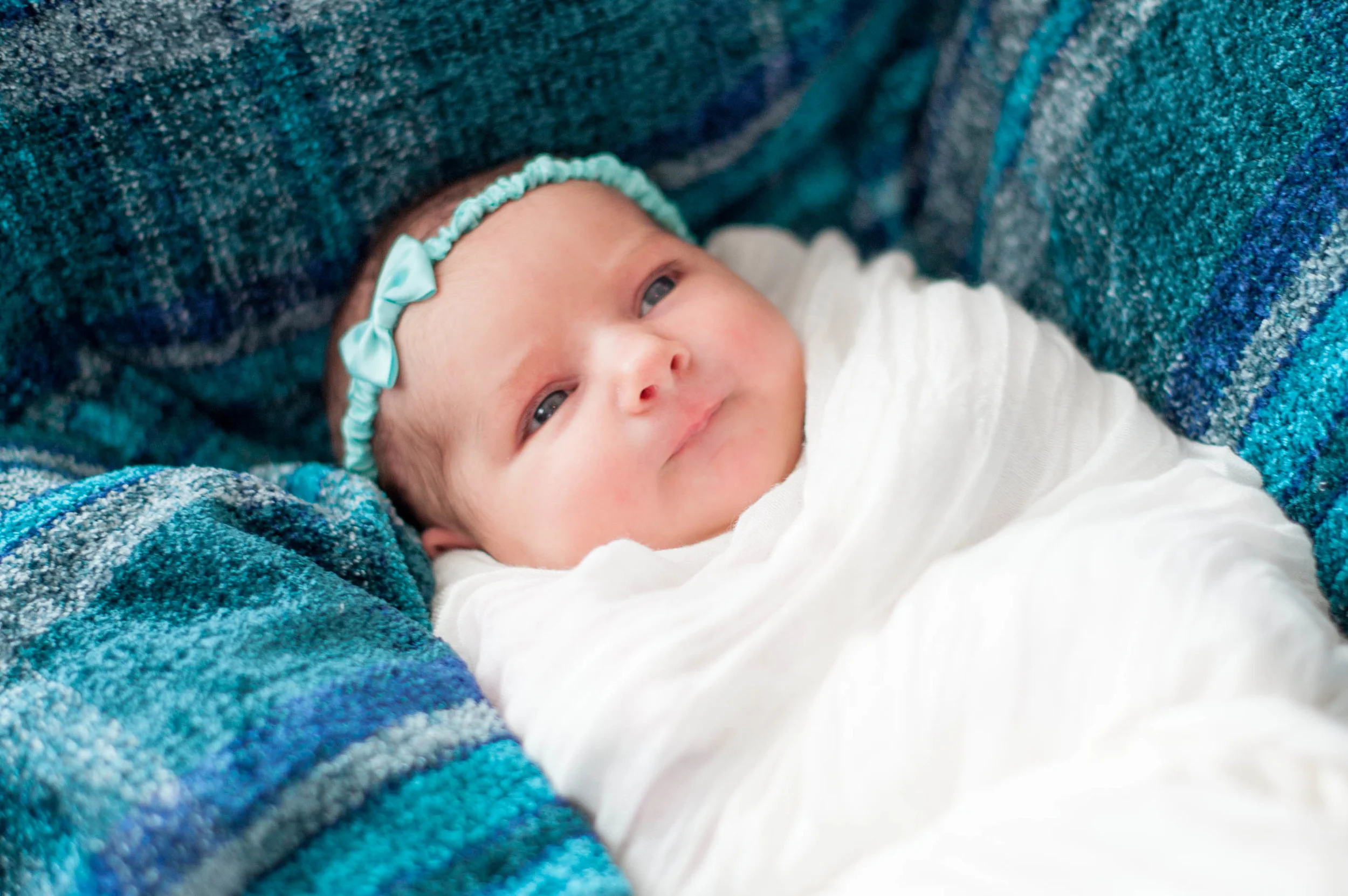 amelia-11.jpg