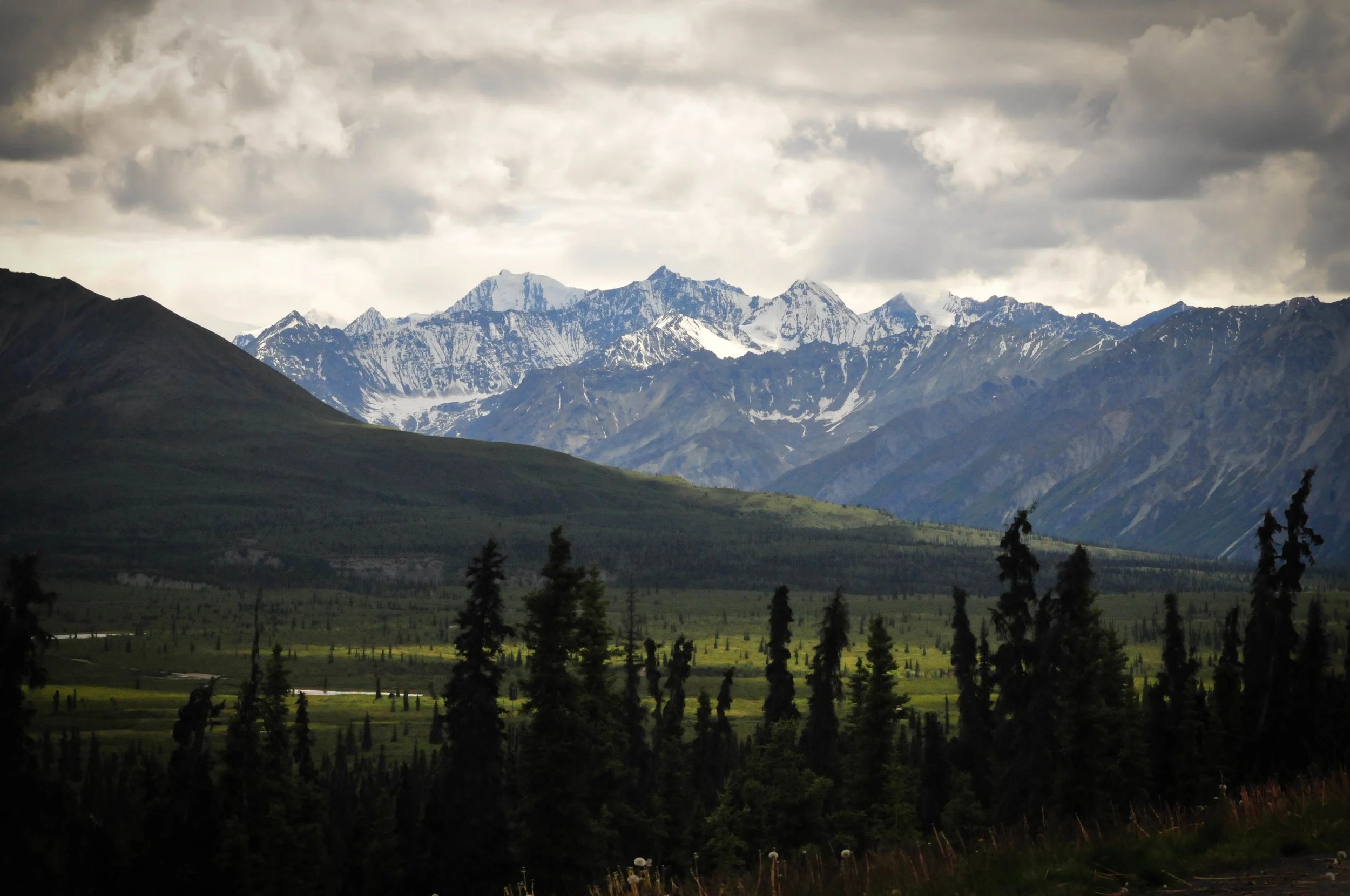 D3X_4976.jpg
