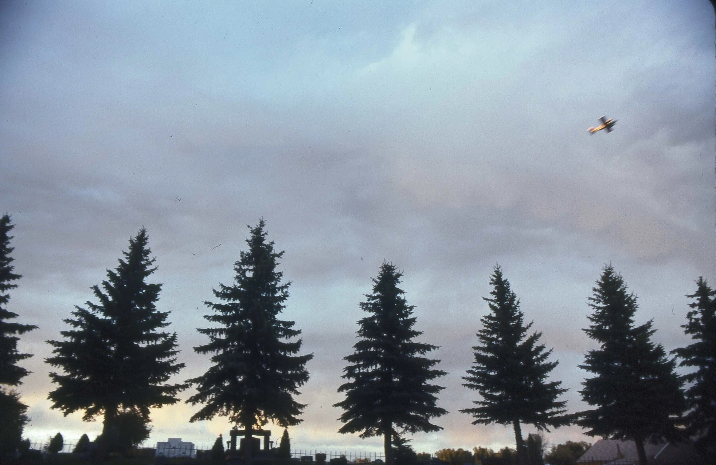 img001.jpg