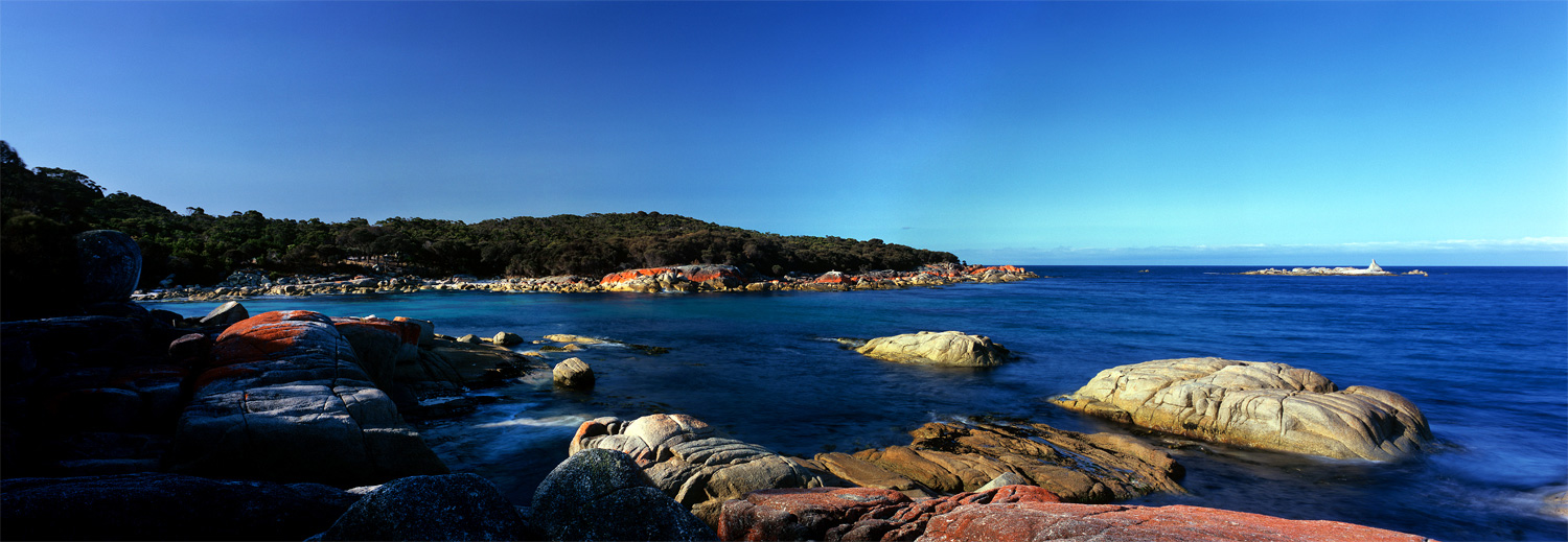 Lichen Encrusted Shoreline