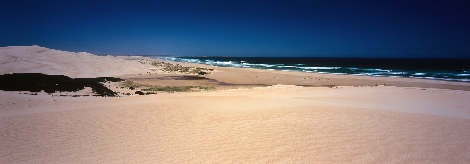 Sandy Cape beach